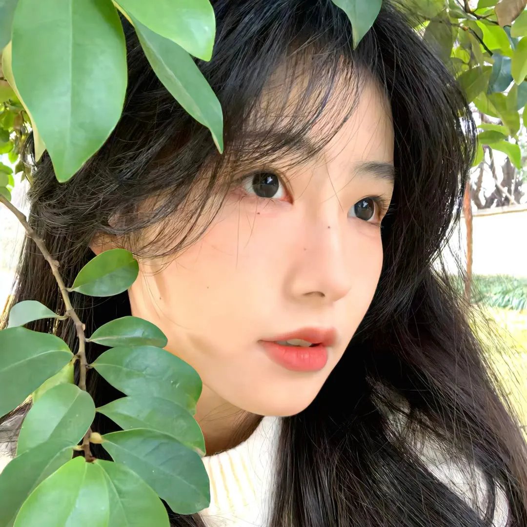 小象守护者
